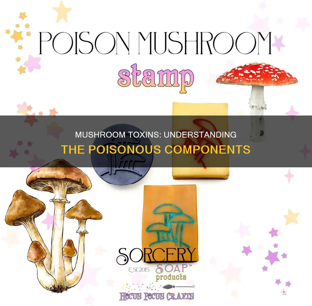 what is toxic in mushrooms