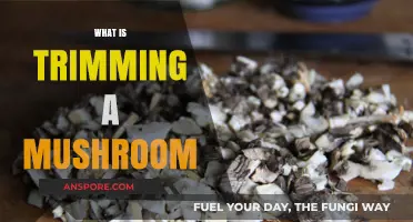 Trimming Techniques for Mushroom Cultivation