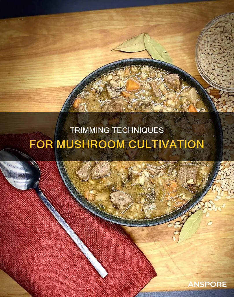 what is trimming a mushroom