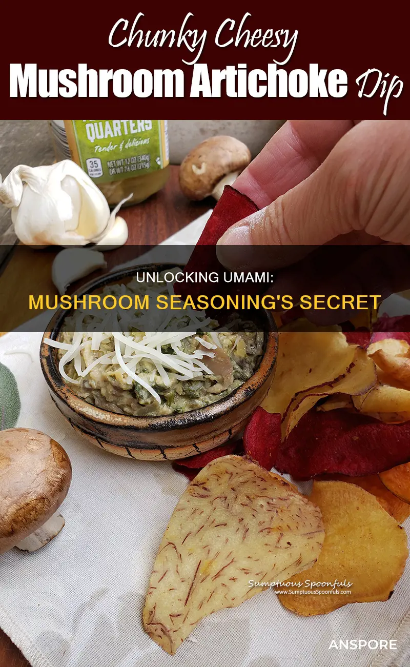 what is umami mushroom seasoning