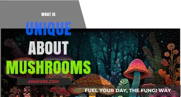 Mushrooms: Nature's Unique and Magical Fungi