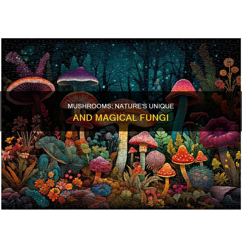 what is unique about mushrooms