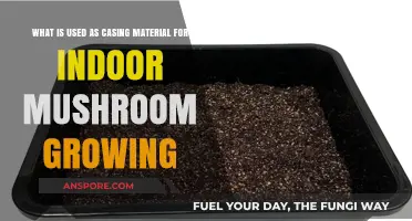 Best Casing Materials for Indoor Mushroom Cultivation: A Comprehensive Guide