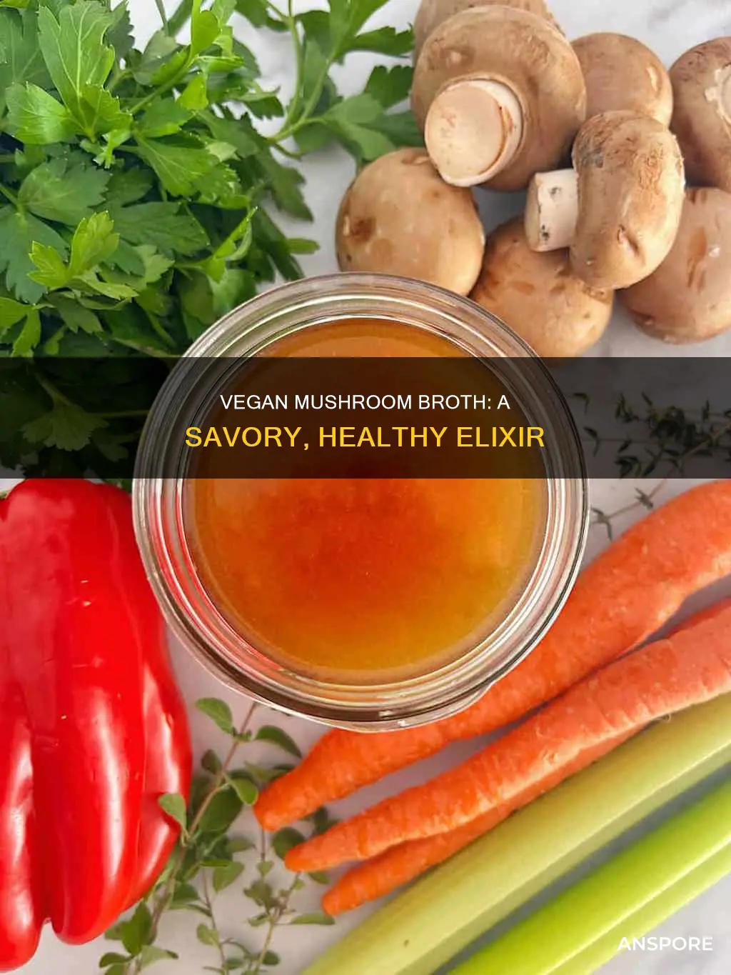 what is vegan mushroom broth