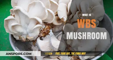 The Magic of WBS Mushrooms: A Comprehensive Guide
