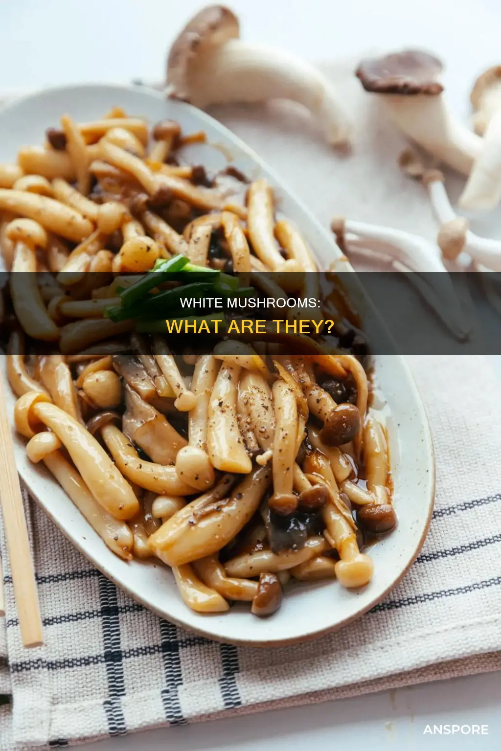 what is white mushroom