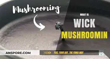 Wick Mushrooming: What, Why, and How?