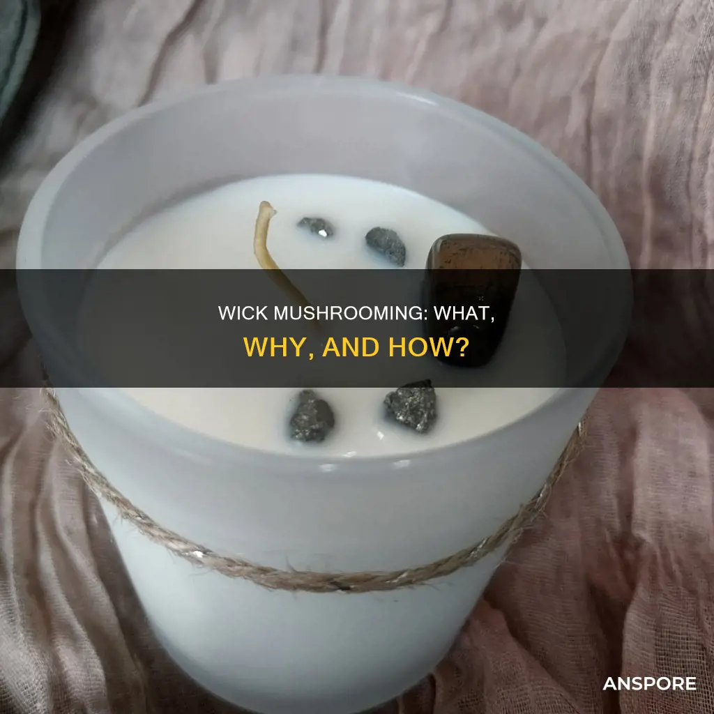 what is wick mushrooming