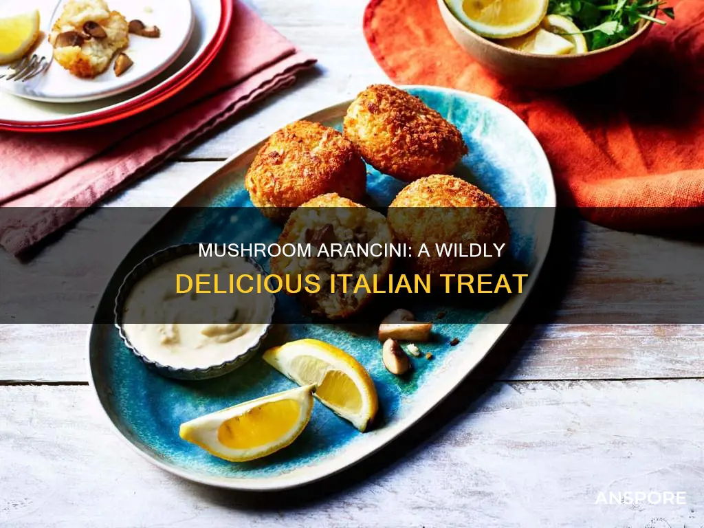 what is wild mushroom arancini