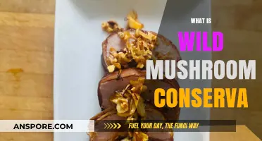 Explore Wild Mushroom Conserva: A Culinary Adventure