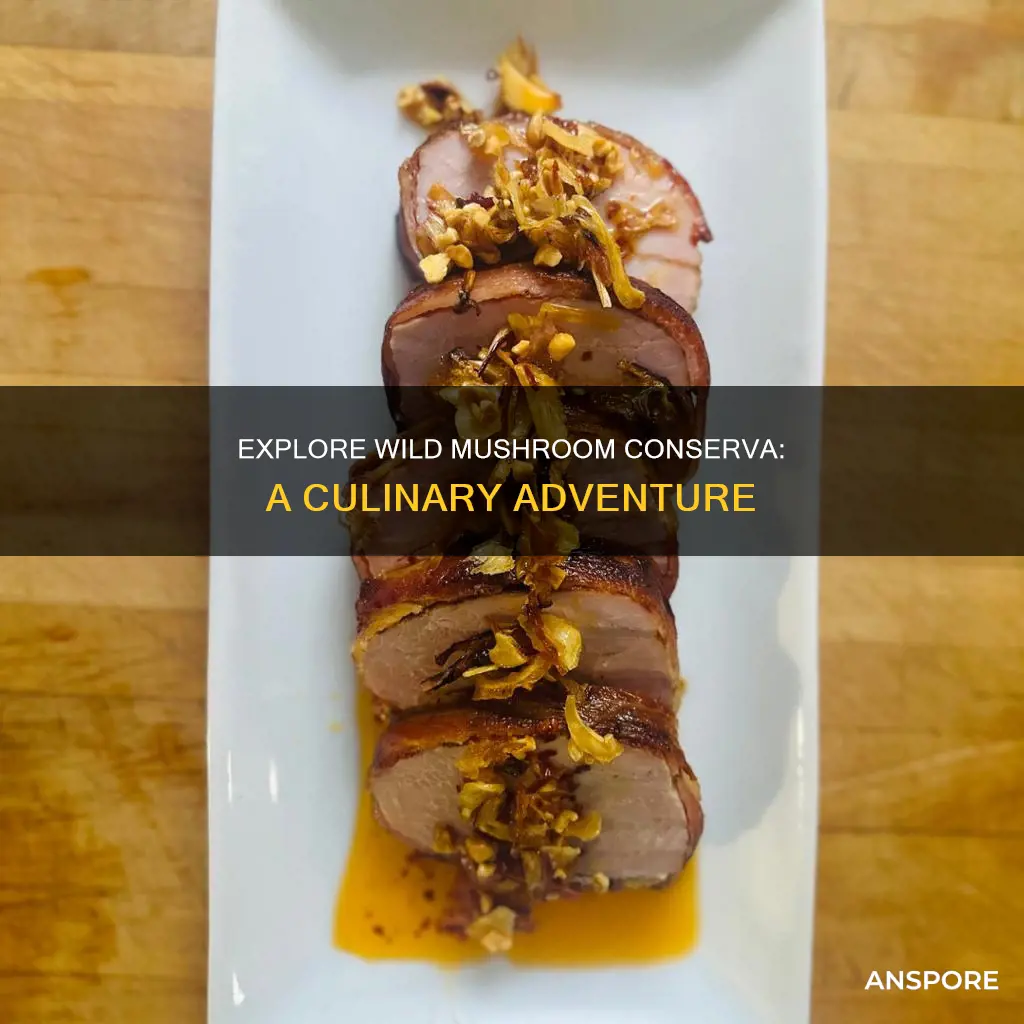 what is wild mushroom conserva