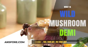 Mushroom Demi: The Ultimate Umami Flavor