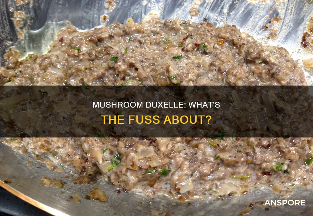 what is wild mushroom duxelle
