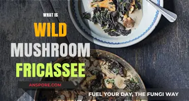 Mushroom Fricassee: A Wild and Delicious Adventure