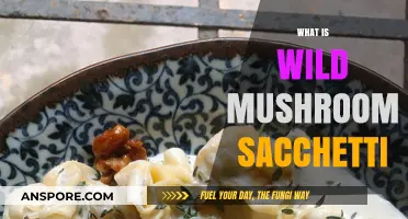 Mushroom Sacchetti: A Wild Culinary Adventure