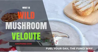 Mushroom Veloute: A Rich, Creamy Soup Delicacy
