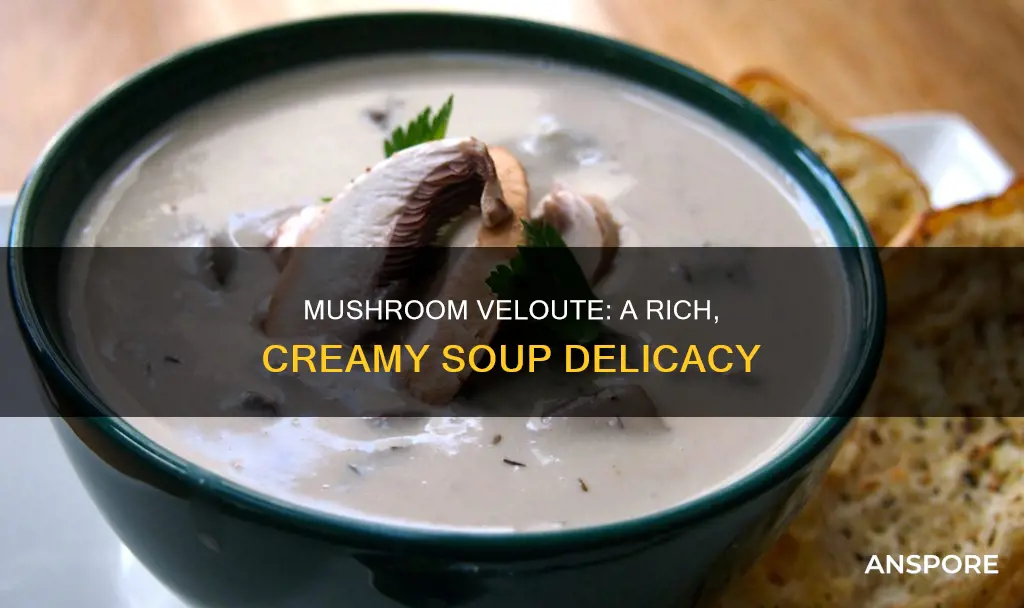 what is wild mushroom veloute