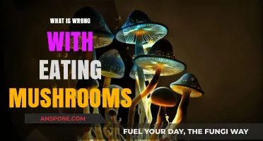 Mushroom Myths Debunked: Uncovering the Truth About Fungal Fears