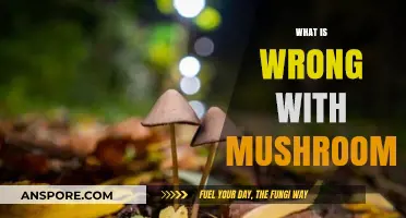 Mushrooms: What's the Fuss?