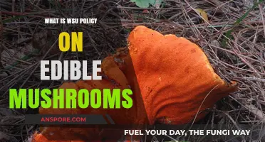 WSU's Edible Mushroom Policy: Guidelines and Campus Regulations Explained