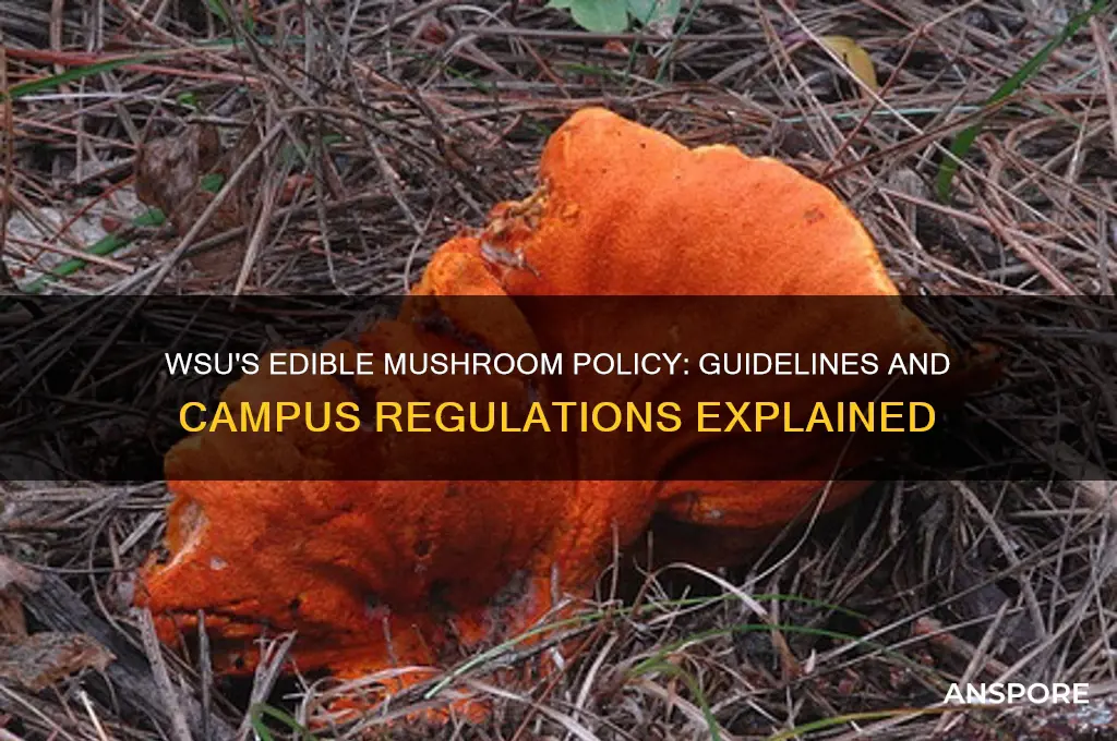 what is wsu policy on edible mushrooms