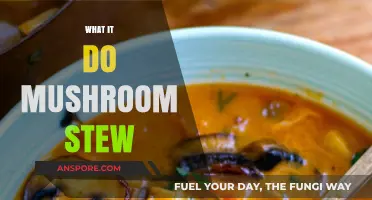 Explore the Magical World of Mushroom Stews