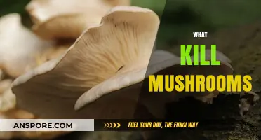 How to Prevent Mushroom Killers in Your Garden