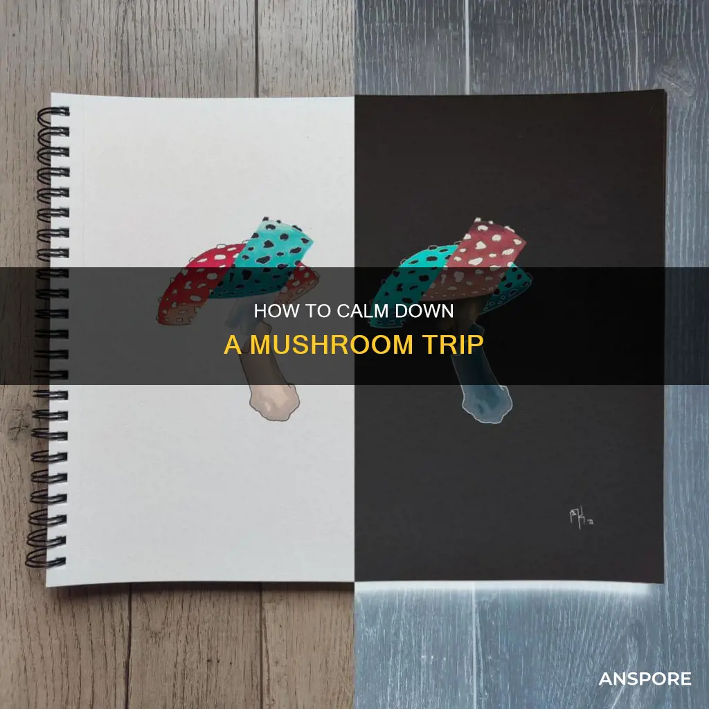 what kills a mushroom trip