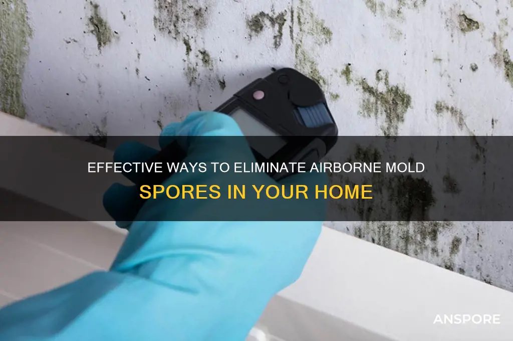 what kills airborne mold spores