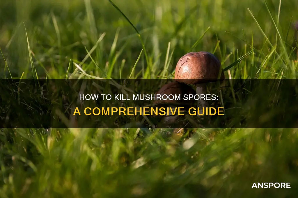 what kills mushroom spores