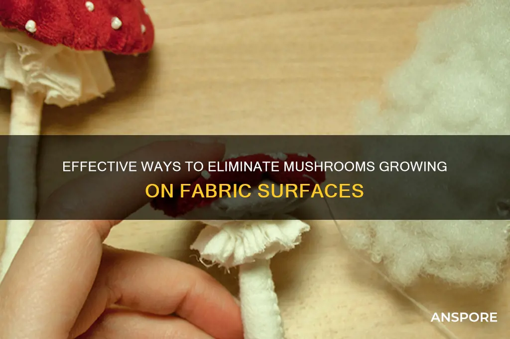 what kills mushrooms growing on cloth