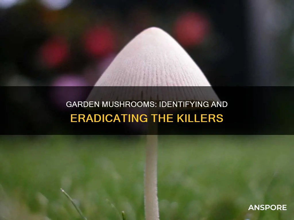 what kills mushrooms in garden