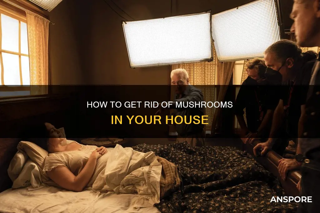 what kills mushrooms in house