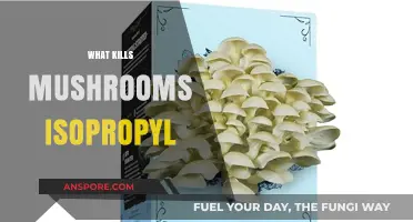 Killing Mushrooms with Isopropyl: What You Need to Know