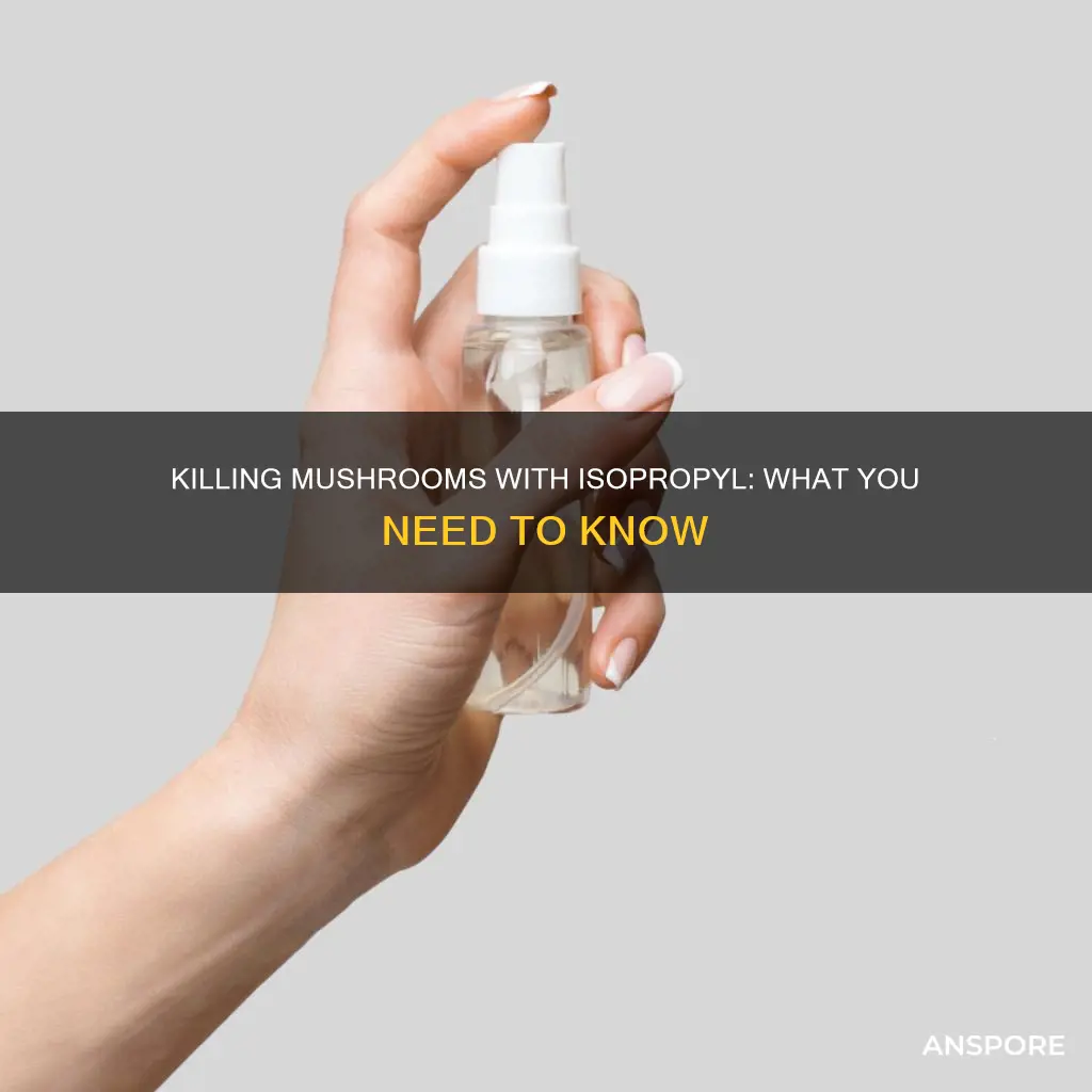 what kills mushrooms isopropyl