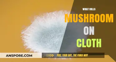 How to Remove Mushrooms from Clothes