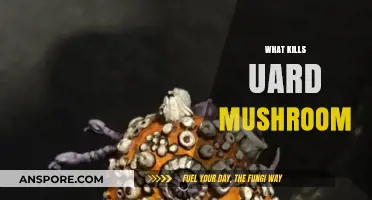 How to Kill Uard Mushroom Growth
