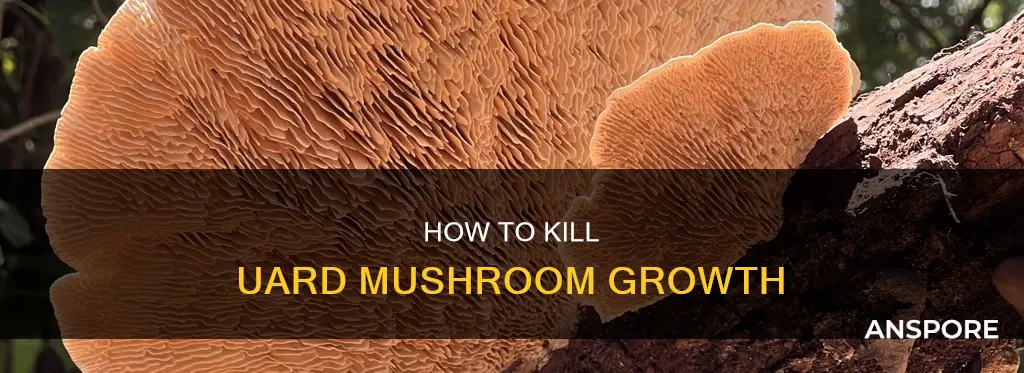 what kills uard mushroom