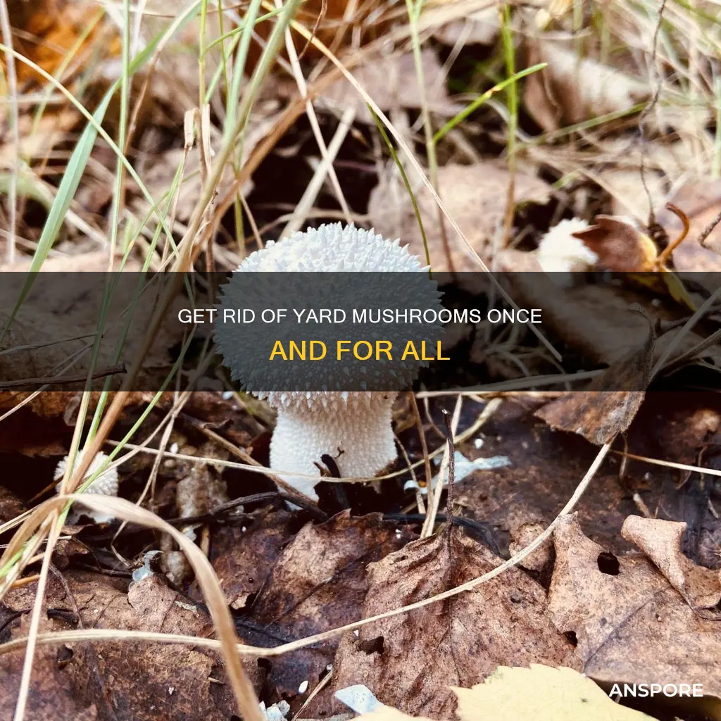 what kills yard mushrooms