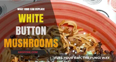 Discover Tasty Alternatives to White Button Mushrooms for Your Recipes