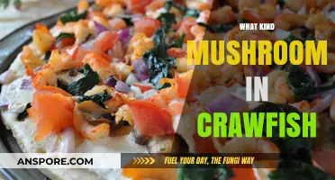 Mushroom and Crawfish Pairing Guide