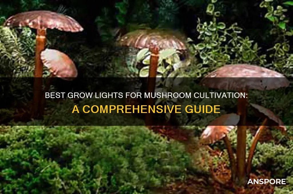 what kind of grow light should i use for mushroom
