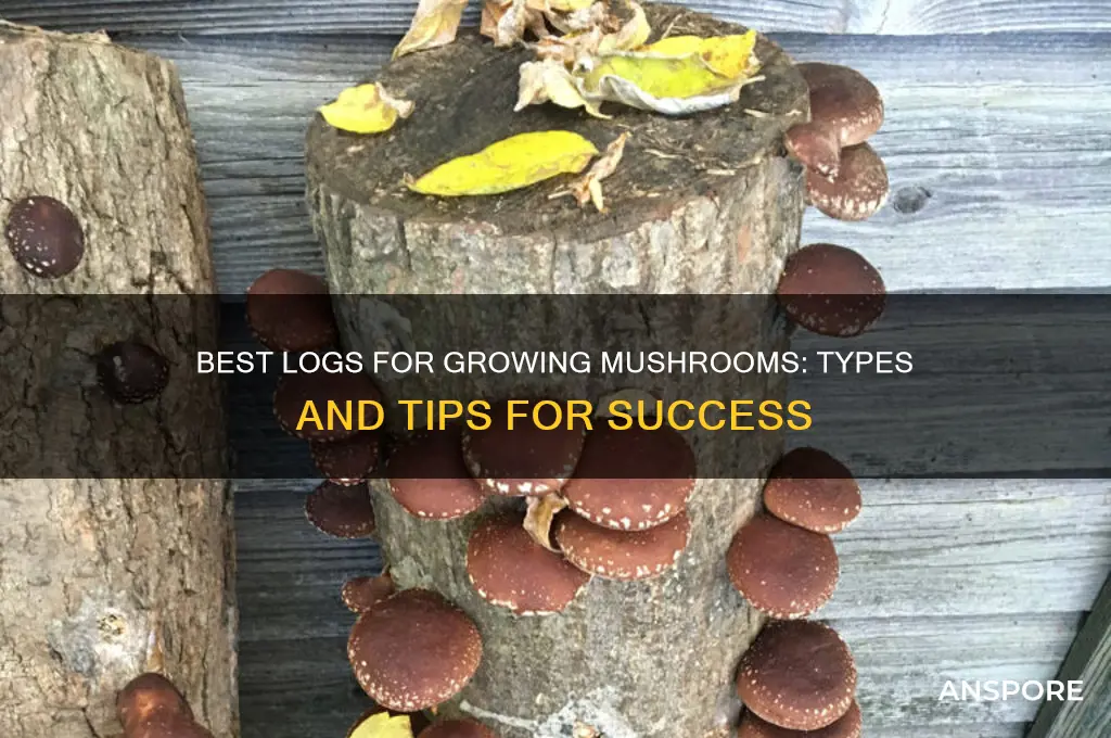 what kind of logs can you use to grow mushrooms