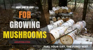 Best Logs for Mushroom Cultivation: Types, Selection, and Preparation Tips
