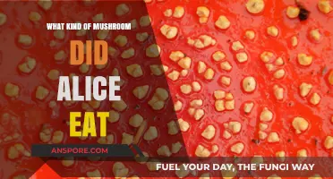 Unveiling the Mystery: What Kind of Mushroom Did Alice Eat?