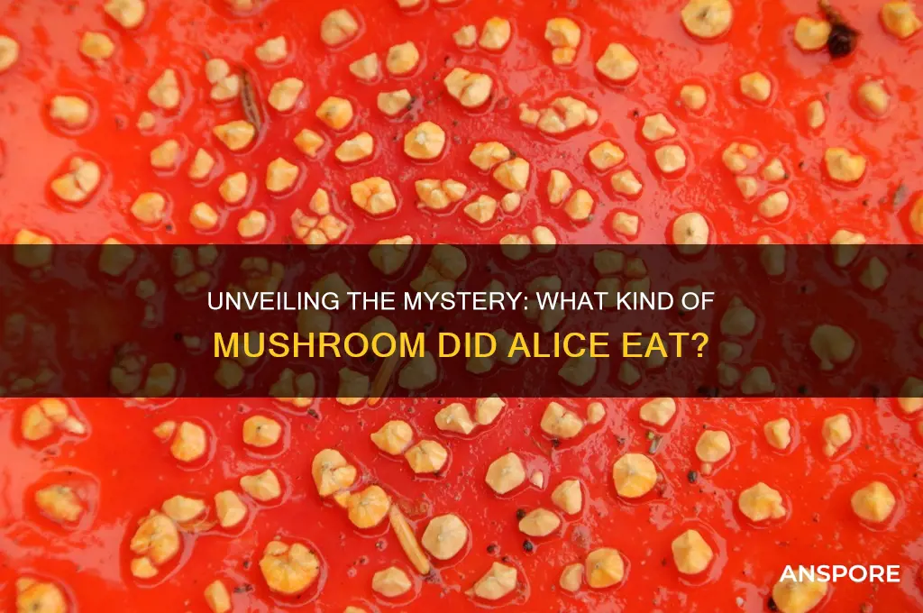 what kind of mushroom did alice eat
