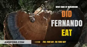 Unveiling the Mystery: What Kind of Mushroom Did Fernando Eat?