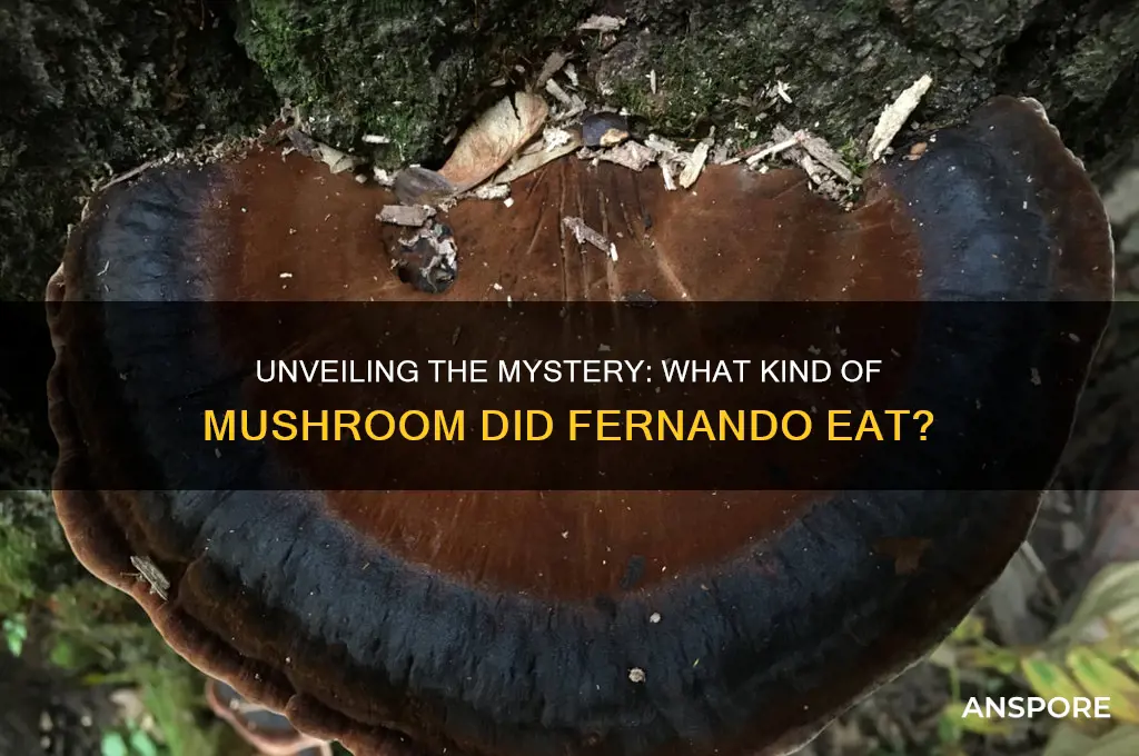 what kind of mushroom did fernando eat