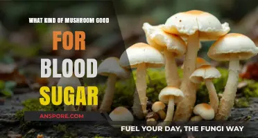 Mushrooms for Blood Sugar Control: Nature's Hidden Diabetes Fighters