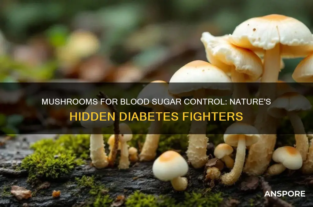 what kind of mushroom good for blood sugar